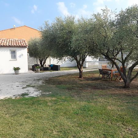 Le Coin Des Oliviers Villa Puget-sur Argens Exterior photo