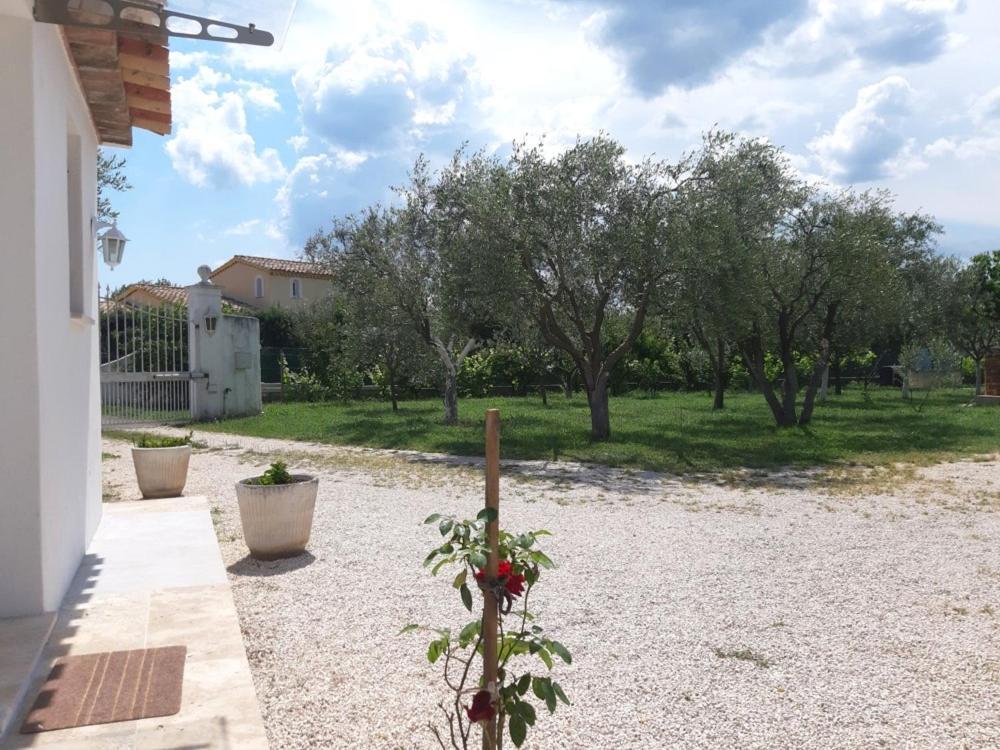 Le Coin Des Oliviers Villa Puget-sur Argens Exterior photo