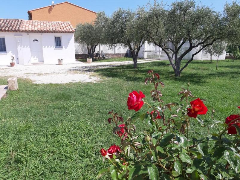 Le Coin Des Oliviers Villa Puget-sur Argens Exterior photo