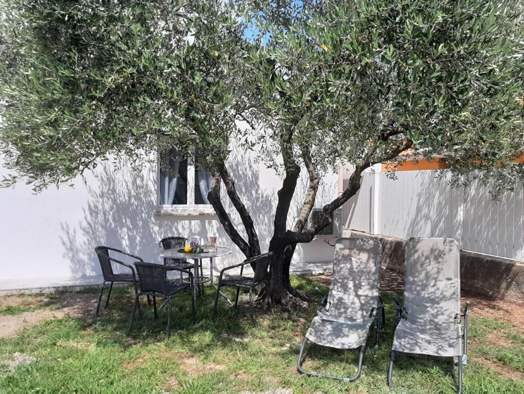 Le Coin Des Oliviers Villa Puget-sur Argens Exterior photo