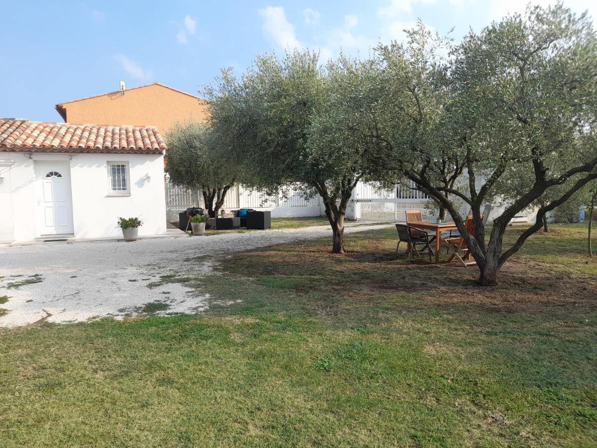Le Coin Des Oliviers Villa Puget-sur Argens Exterior photo
